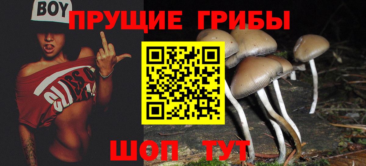 Владивосток  Псилоцибиновые грибы Psilocybine cubensis  цены наркотик  Вход с VPN 